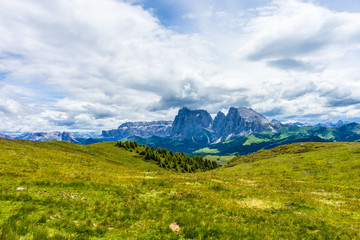 Alpe di Siusi, Seiser Alm with Sassolungo Langkofel Dolomite, a large green field with a mountain in the background