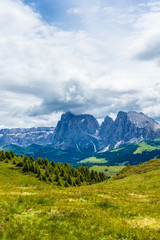 Fototapeta premium Alpe di Siusi, Seiser Alm with Sassolungo Langkofel Dolomite, a large mountain in the background