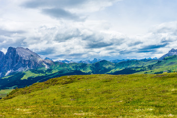 Alpe di Siusi, Seiser Alm with Sassolungo Langkofel Dolomite, a large green field with a mountain in the background