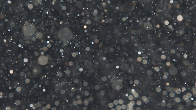 Elegant, detailed, and delightful bokeh and particles visuals with shallow depth of field underwater