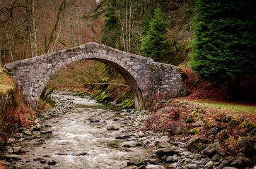 Th&ocirc;nes Haute-Savoie Rh&ocirc;ne-Alpes-Auvergne