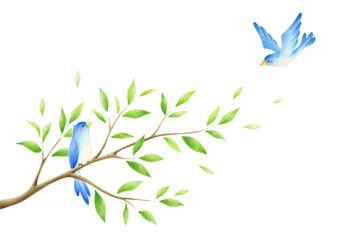 木の枝と青い鳥