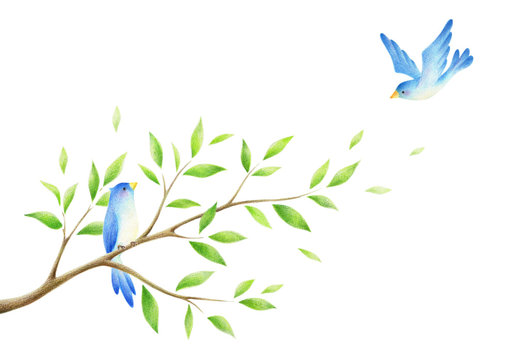 木の枝と青い鳥 Stock Illustration | Adobe Stock