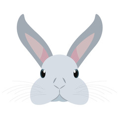 cute head rabbit