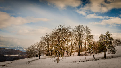 Cercier Haute-Savoie Rhône-Alpes-Auvergne