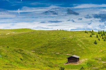 Alpe di Siusi, Seiser Alm with Sassolungo Langkofel Dolomite, a hut in a green lush field