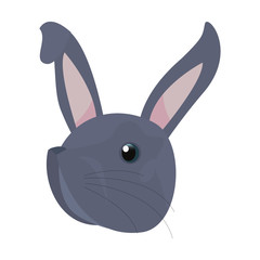 cute head rabbit