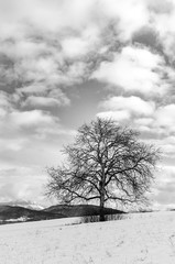 Cercier Haute-Savoie Rh&ocirc;ne-Alpes-Auvergne