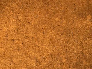 brown mulberry paper with many lines and dots in full frame, using for background