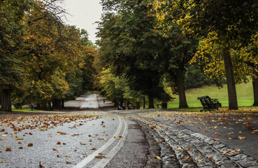 empty road at greenwich park