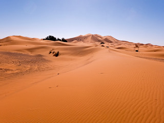 Die Wüste Sahara im Süden von Marokko. Sand und Dünen so weit das Auge reicht. Die Sandwüste...