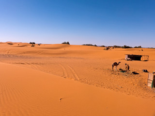 Die Wüste Sahara im Süden von Marokko. Sand und Dünen so weit das Auge reicht. Die Sandwüste wird auch Erg genannt.
