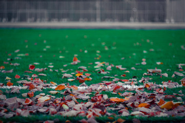 Football field