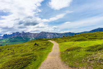 Alpe di Siusi, Seiser Alm with Sassolungo Langkofel Dolomite, a trekking walking winding path in a lush green field