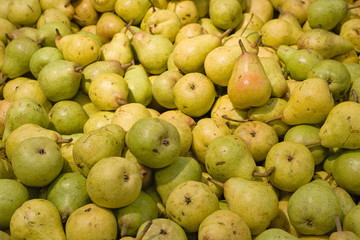 Small ripe green pears lie in a bunch
