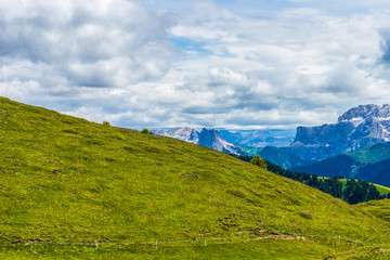 Alpe di Siusi, Seiser Alm with Sassolungo Langkofel Dolomite, a large green field with a mountain in the background