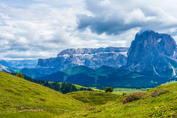 Alpe di Siusi, Seiser Alm with Sassolungo Langkofel Dolomite, a large green field with a mountain in the background