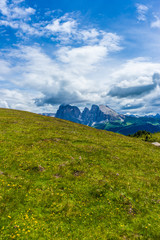 Fototapeta premium Alpe di Siusi, Seiser Alm with Sassolungo Langkofel Dolomite, a large green field with a mountain in the background