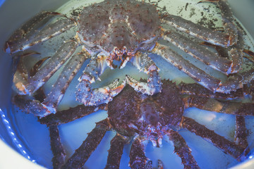 Live king crabs in the restaurant aquarium, cooking fresh seafood