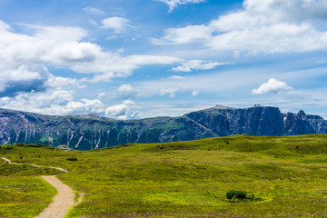 Alpe di Siusi, Seiser Alm with Sassolungo Langkofel Dolomite, a trekking walking winding path in a lush green field