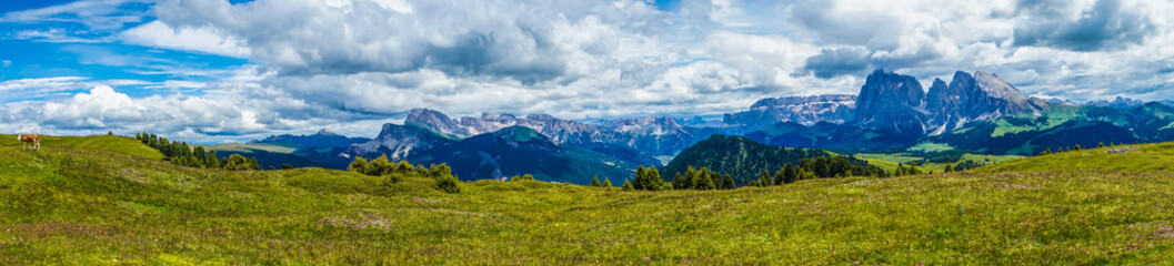 Obraz premium Alpe di Siusi, Seiser Alm with Sassolungo Langkofel Dolomite, a large green field with a mountain in the background panorama