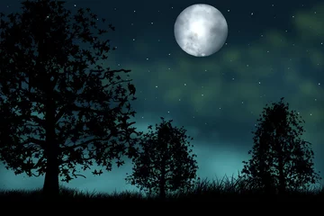 Tableaux ronds sur aluminium brossé Pleine Lune arbre pleine lune dans le ciel
