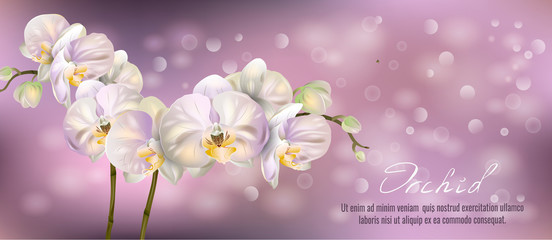 Set of Vector banners with Luxurious orchid flowers. Template for greeting cards, wedding decorations, invitation, sales, packaging. Spring or summer design. Place for text.