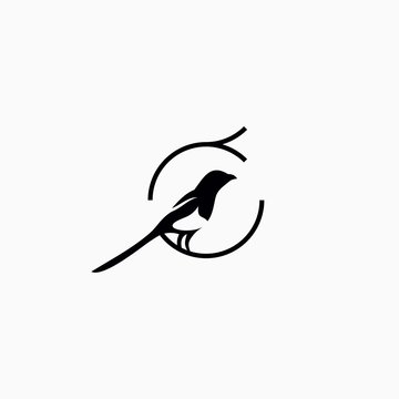 simple magpie bird logo vector illustration