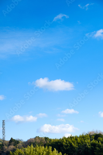 写真素材 青空 空 雲 冬の空 背景 背景素材 1月 コピースペース Background Wall Mural Backgrou Rummy Rummy
