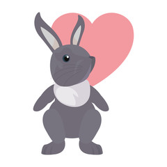 cute rabbit heart love