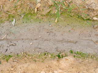 Dirty Dry Saline Soil Grunge Surface with a leaf. Abstract Backgroud Concept.