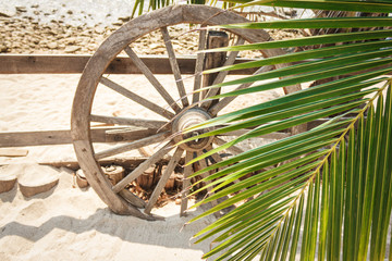 Large wooden wheel in the sand near the palm trees