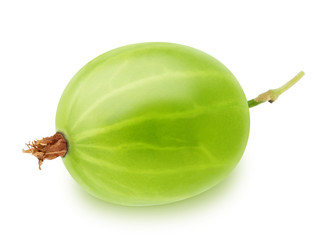 Single gooseberry isolated on a white background.