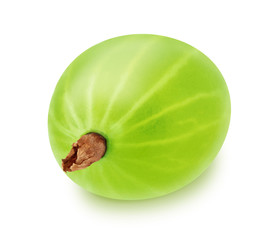 Single gooseberry isolated on a white background.