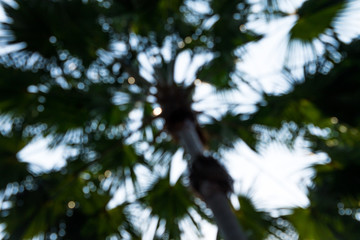 Background of nature