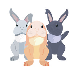 Obraz na płótnie Canvas cute rabbits cartoon