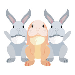 cute rabbits cartoon