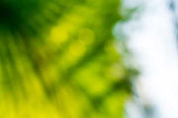 Obraz premium Background of nature