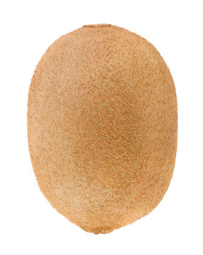 recommend clip art: Whole kiwi fruit isolated on a white