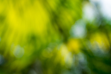 Background of nature