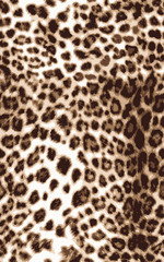 Leopard Fashion Pattern