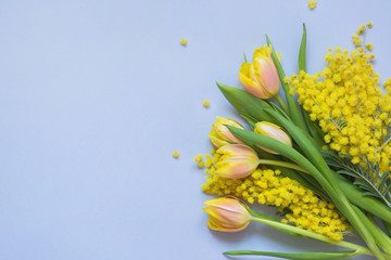 Spring floral border of yellow tulips, mimosa on blue. Top view with copy space.