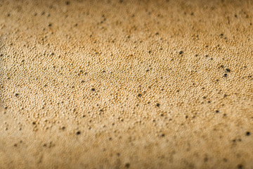 abstract grunge background with bubbles. foam macro