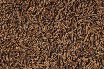 Cumen seeds