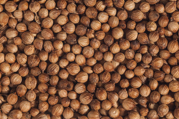 Coriander seeds