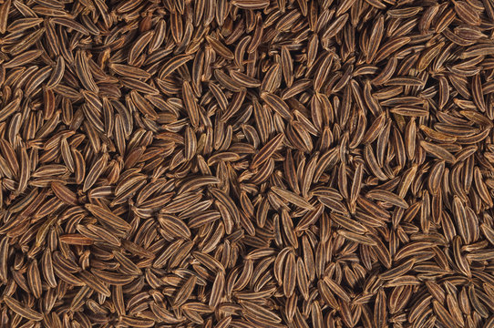 Cumen seeds