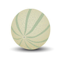 juicy melon.vector drawing