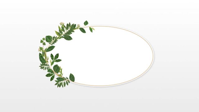Photo frame for copy space with decorative plants