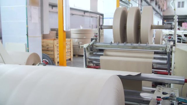 Paper and pulp mill