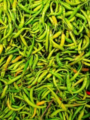Top view of green pepper or chili as a background for sale in the market at Thailand, abstract background, use for cook, Vertical
